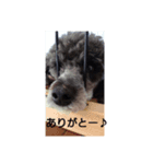 mojaとmiso02（個別スタンプ：2）