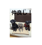 mojaとmiso02（個別スタンプ：4）