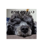mojaとmiso02（個別スタンプ：7）