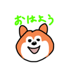 ポン太(ぽに)のスタンプ（個別スタンプ：1）