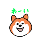 ポン太(ぽに)のスタンプ（個別スタンプ：2）