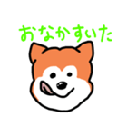 ポン太(ぽに)のスタンプ（個別スタンプ：7）
