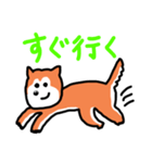 ポン太(ぽに)のスタンプ（個別スタンプ：9）