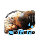 はおりんの日常（個別スタンプ：10）