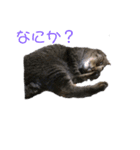 りっぷスタンプ（個別スタンプ：2）