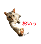 みーちゃんスタンプ 第2弾（個別スタンプ：14）