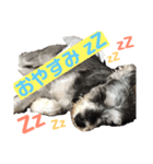 松本ビート君（個別スタンプ：2）