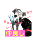 松本ビート君（個別スタンプ：5）