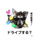 松本ビート君（個別スタンプ：6）