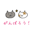 癒し猫の休日（個別スタンプ：15）