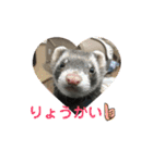 フェレットもんちゃんの日常スタンプ2（個別スタンプ：18）