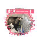 フェレットもんちゃんの日常スタンプ2（個別スタンプ：24）