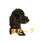 ジェイのおねがい（個別スタンプ：2）