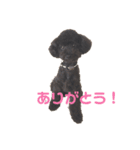 ジェイのおねがい（個別スタンプ：6）