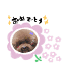 ごえもん＆そら（個別スタンプ：3）