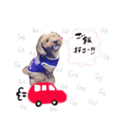 ごえもん＆そら（個別スタンプ：5）