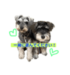 ジャック＆ウィル（個別スタンプ：1）