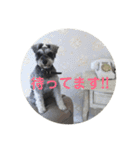 ジャック＆ウィル（個別スタンプ：2）
