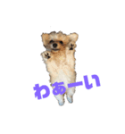 フォルテとみんな♪♪♪（個別スタンプ：3）