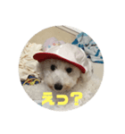 フォルテとみんな♪♪♪（個別スタンプ：5）