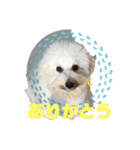 フォルテとみんな♪♪♪（個別スタンプ：7）