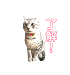 のんのさん（個別スタンプ：1）