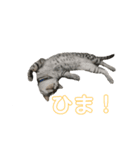 のんのさん（個別スタンプ：4）