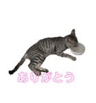 のんのさん（個別スタンプ：8）