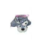 シュナウザーのラヴちゃん（個別スタンプ：3）