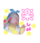 うみちスタンプ（個別スタンプ：9）