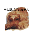 ちんぴらインギー（個別スタンプ：7）