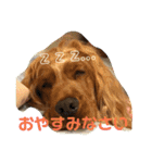 ちんぴらインギー（個別スタンプ：13）