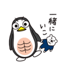 腹筋ペンギン 1歩目（個別スタンプ：17）