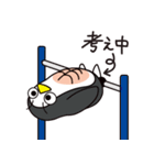 腹筋ペンギン 1歩目（個別スタンプ：29）