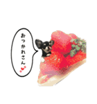 elueve main（個別スタンプ：3）