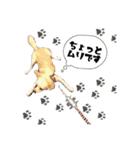 elueve main（個別スタンプ：5）
