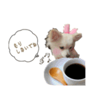 elueve main（個別スタンプ：6）