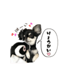elueve main（個別スタンプ：7）