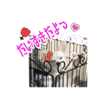 elueve main（個別スタンプ：8）