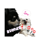 elueve main（個別スタンプ：10）