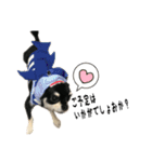 elueve main（個別スタンプ：11）