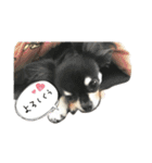 elueve main（個別スタンプ：14）