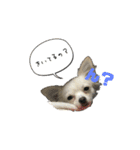 elueve main（個別スタンプ：17）