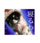 elueve main（個別スタンプ：19）