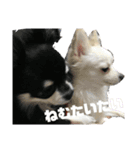 elueve main（個別スタンプ：23）
