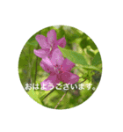 自然の贈り物（個別スタンプ：1）