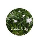 自然の贈り物（個別スタンプ：2）