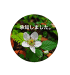 自然の贈り物（個別スタンプ：4）