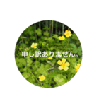 自然の贈り物（個別スタンプ：5）