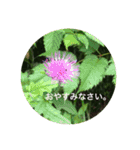 自然の贈り物（個別スタンプ：7）